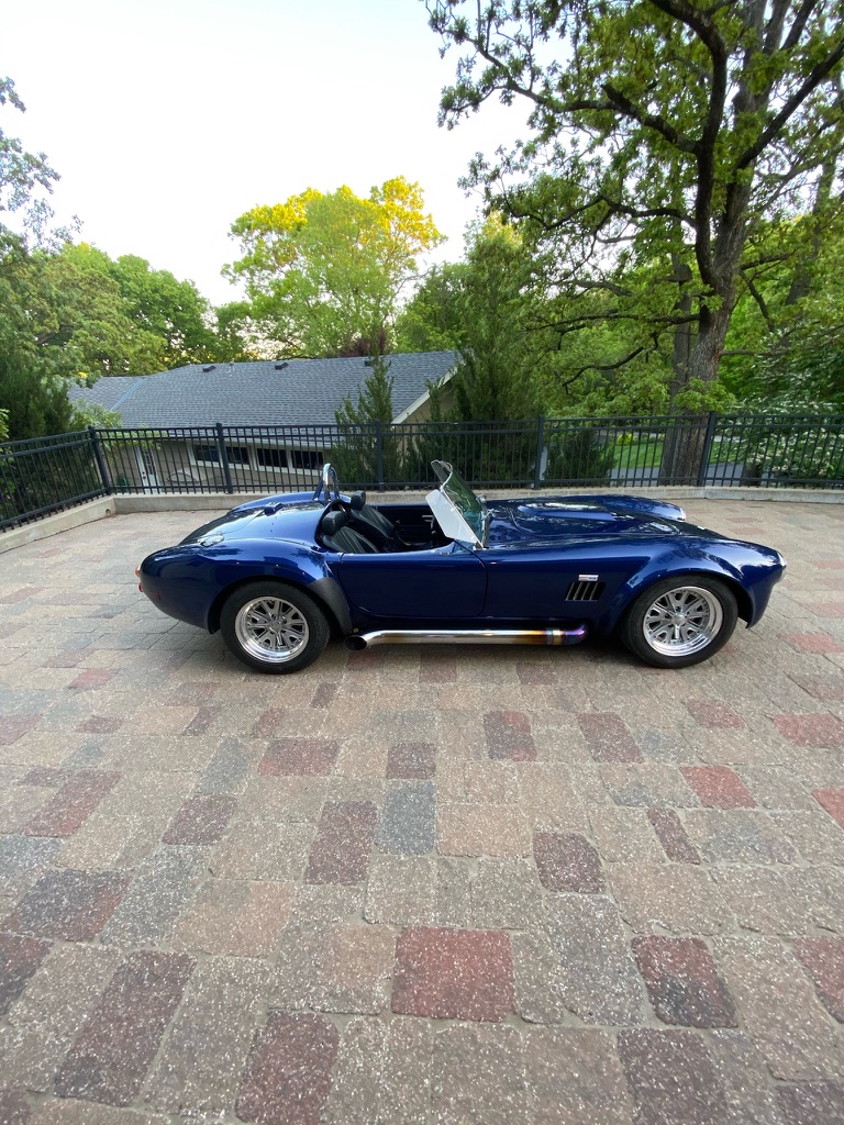 Cobra photo 3