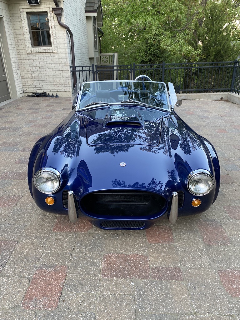Cobra photo 4