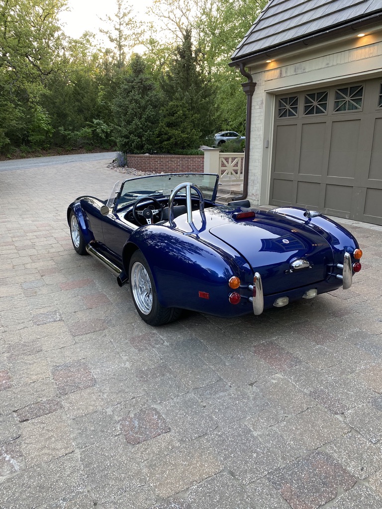 Cobra photo 6