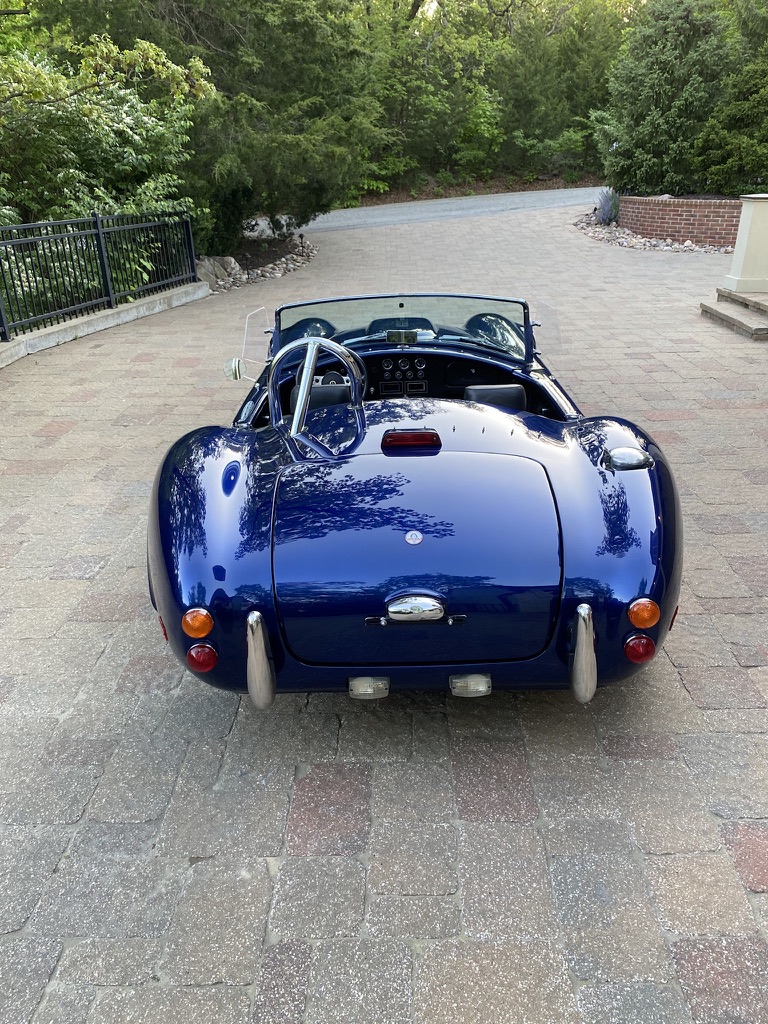 Cobra photo 7